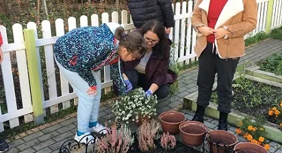 przygarnij kwiatka 6