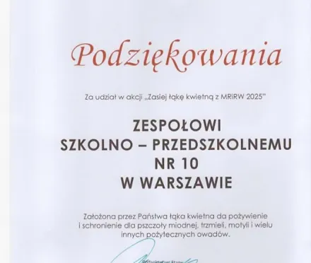 łąka 2