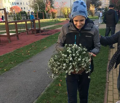 przygarnij kwiatka 3