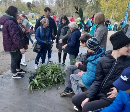 Przygarnij kwiatka 3