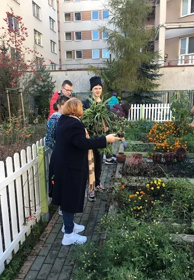 przygarnij kwiatka 7