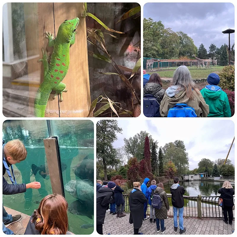 2025/2026.Harcerze_6