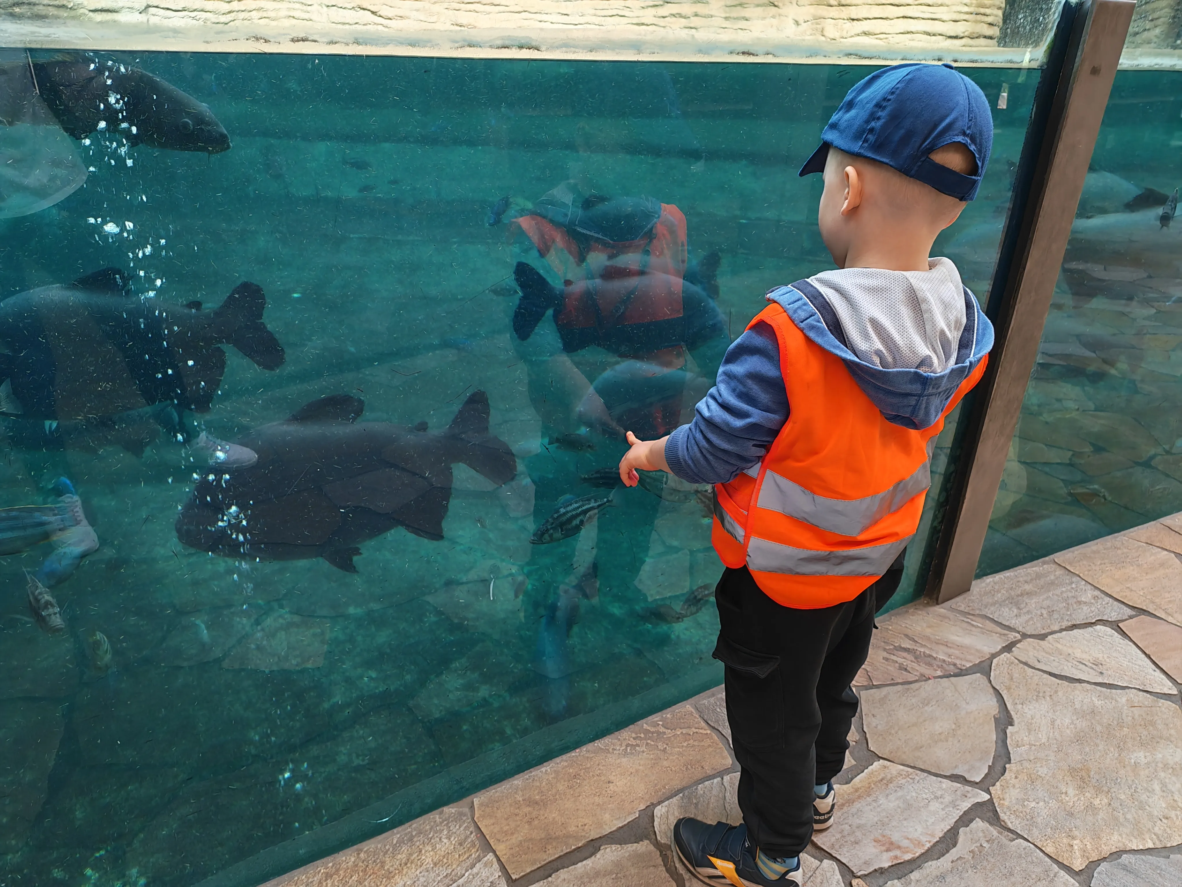 ZOO
