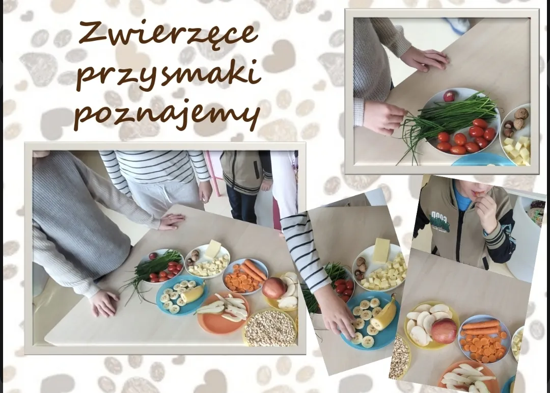 Zwierzątka