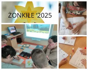żonkile 1