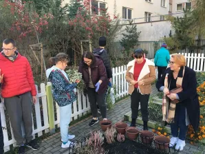 przygarnij kwiatka 1