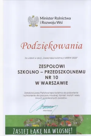 łąka 2