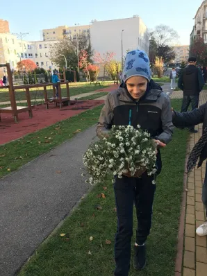 przygarnij kwiatka 3