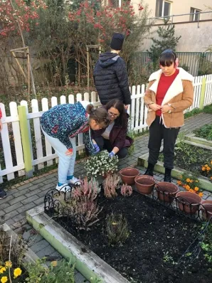 przygarnij kwiatka 6