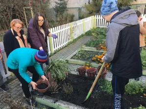 przygarnij kwiatka 9